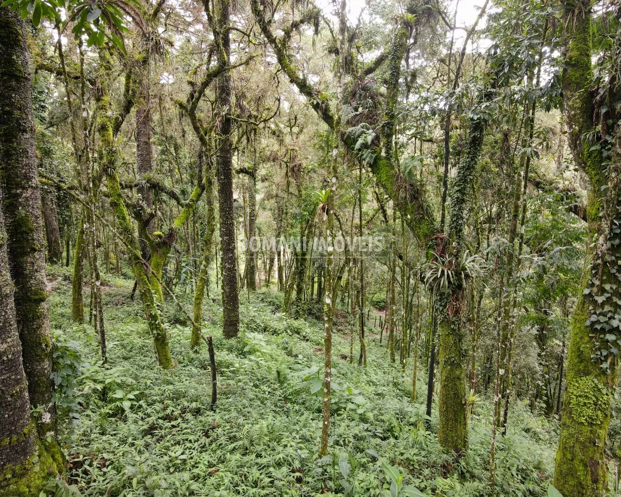 Plot for sale of 3,750 m² in Campos do Jordão, SP, Brazil