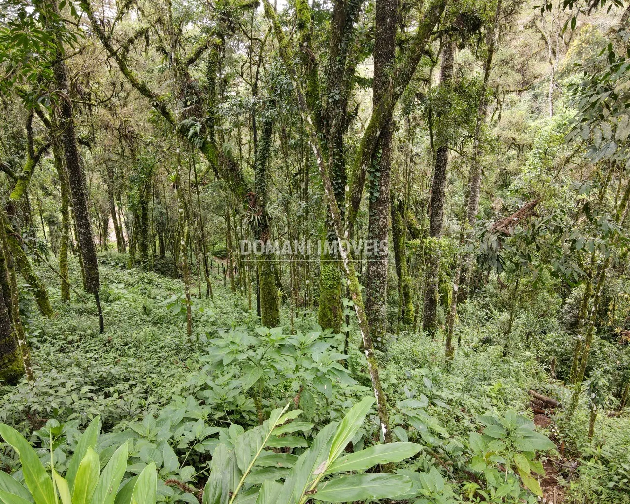 Plot for sale of 3,750 m² in Campos do Jordão, SP, Brazil
