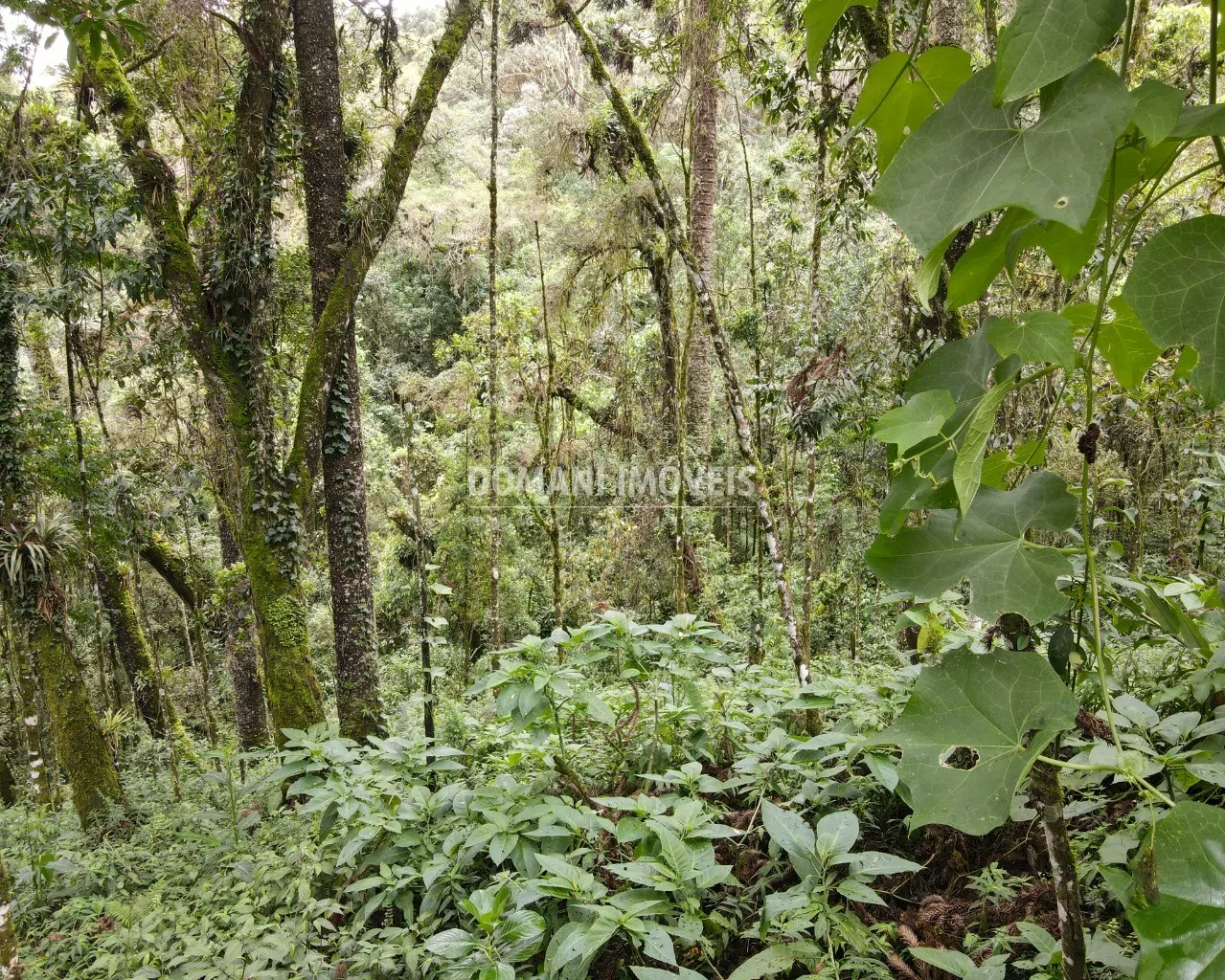 Plot for sale of 3,750 m² in Campos do Jordão, SP, Brazil