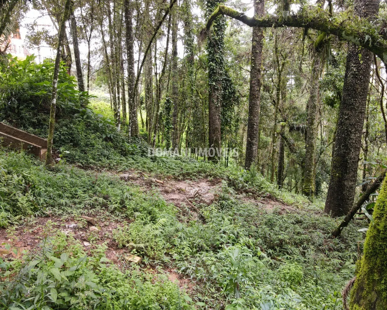 Plot for sale of 3,750 m² in Campos do Jordão, SP, Brazil