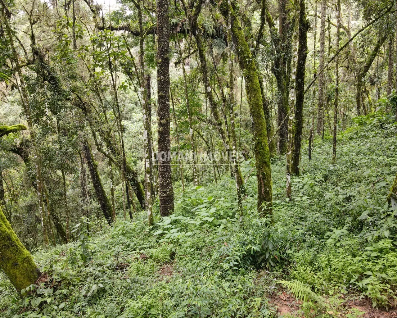 Plot for sale of 3,750 m² in Campos do Jordão, SP, Brazil