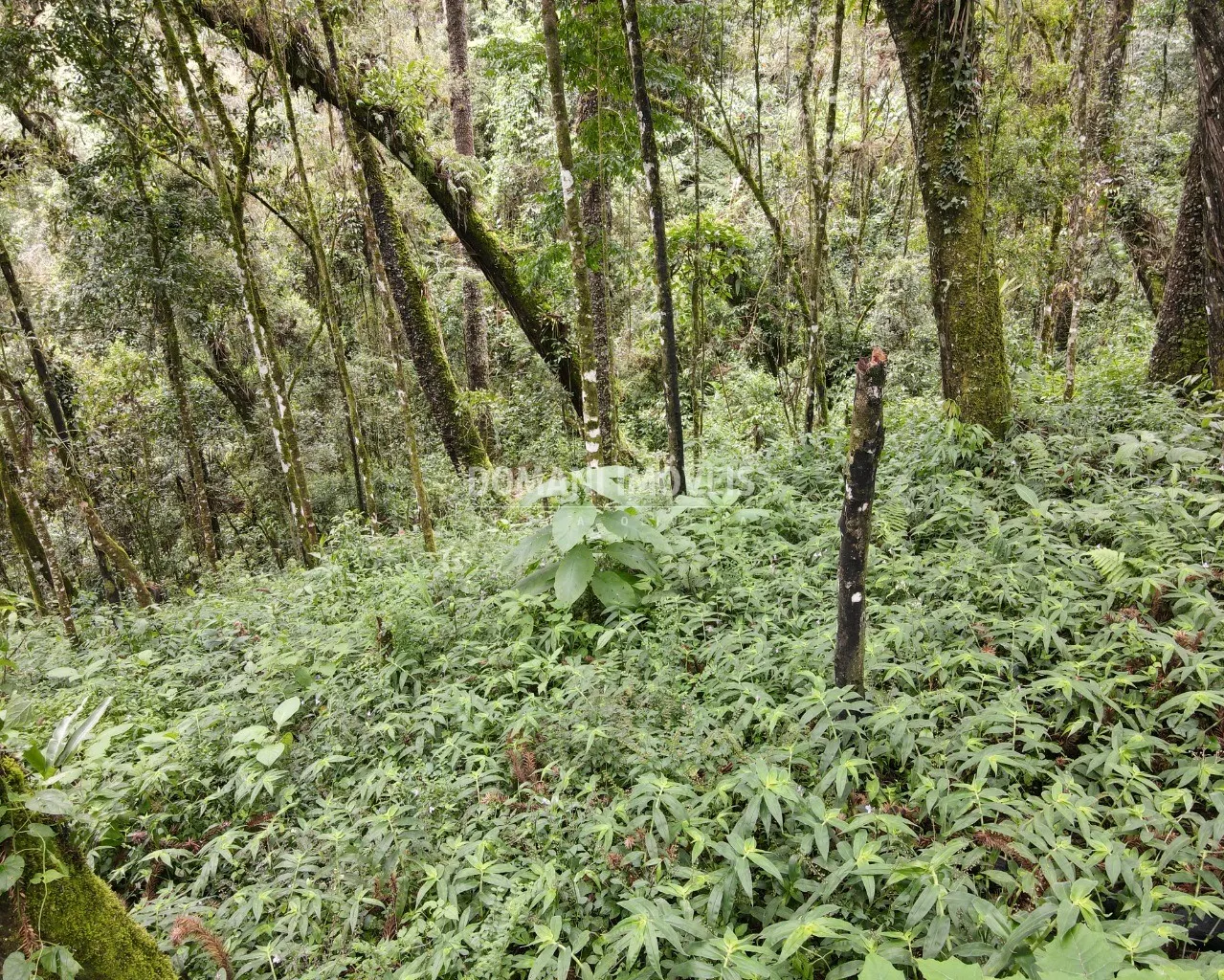 Plot for sale of 3,750 m² in Campos do Jordão, SP, Brazil