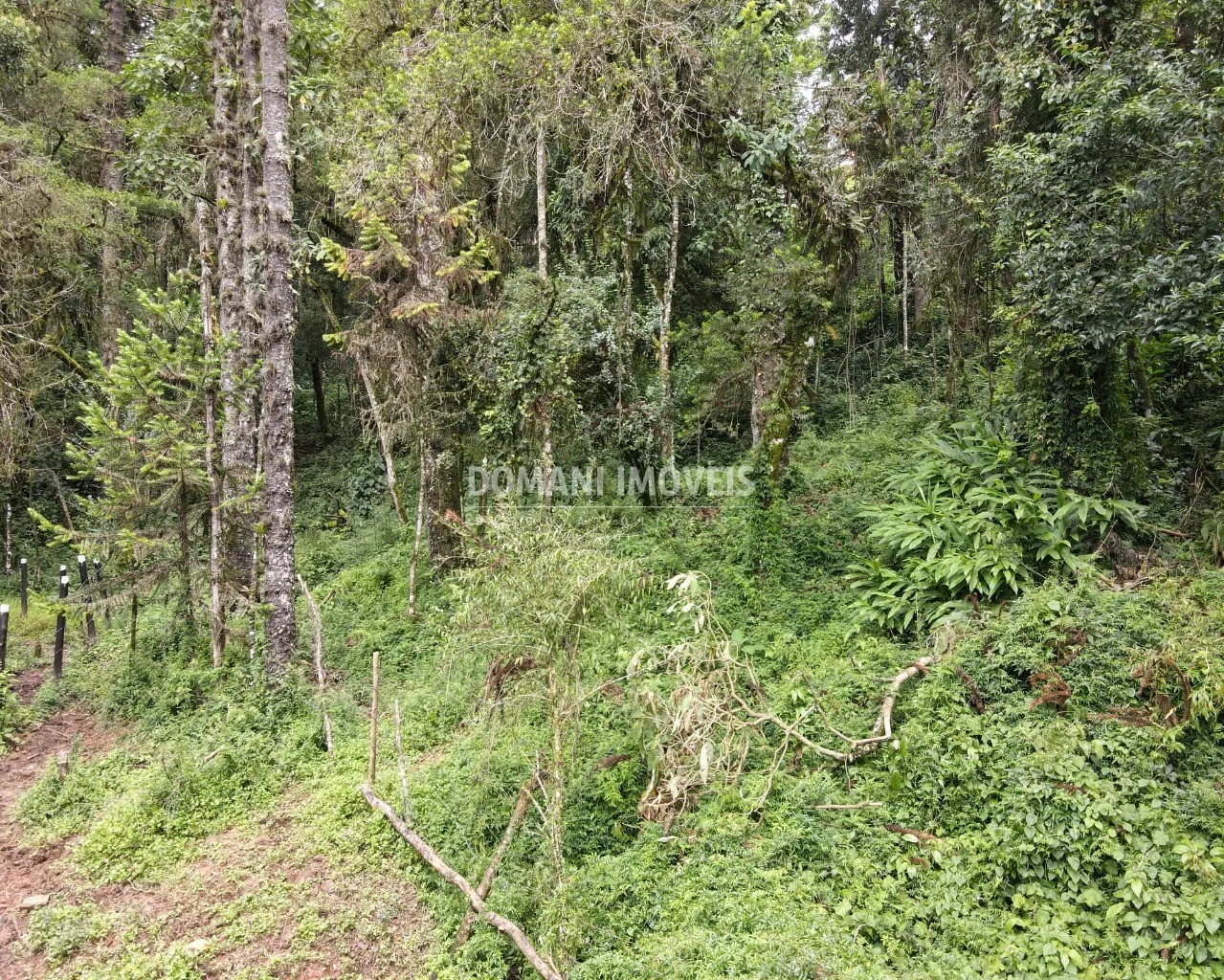 Plot for sale of 3,750 m² in Campos do Jordão, SP, Brazil