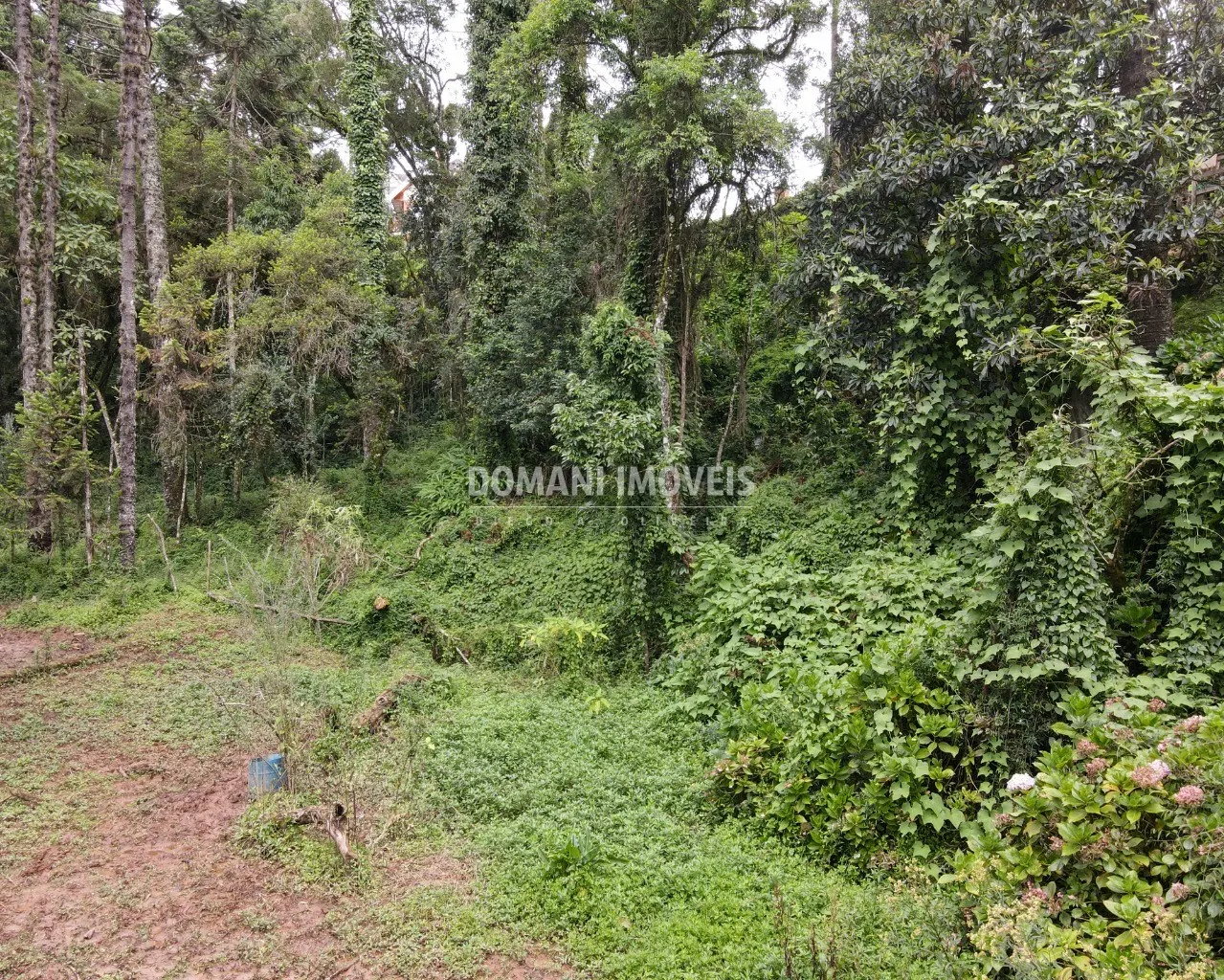 Plot for sale of 3,750 m² in Campos do Jordão, SP, Brazil