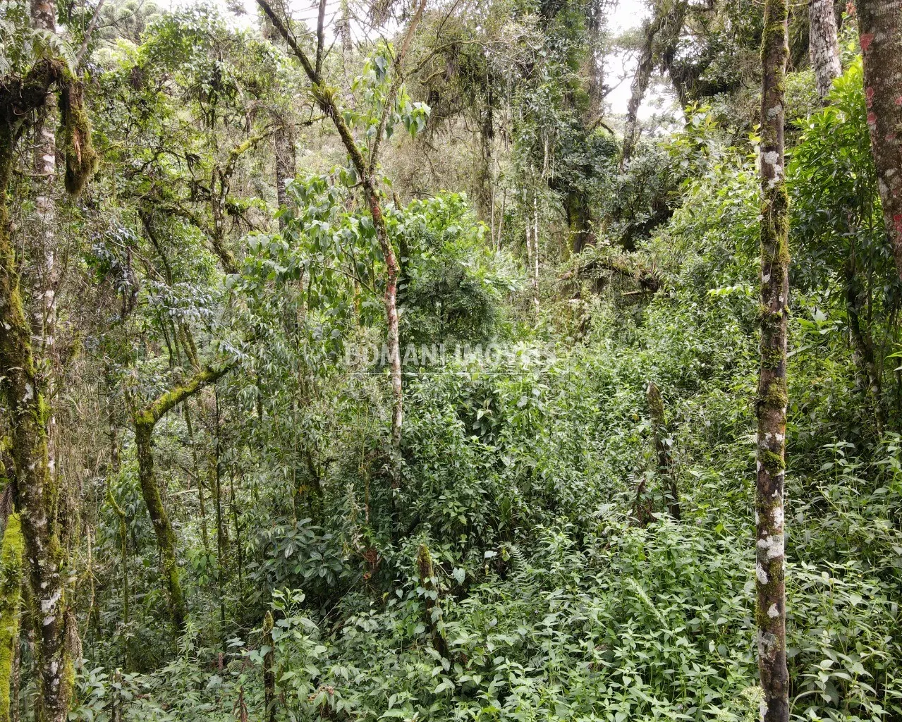 Plot for sale of 3,750 m² in Campos do Jordão, SP, Brazil