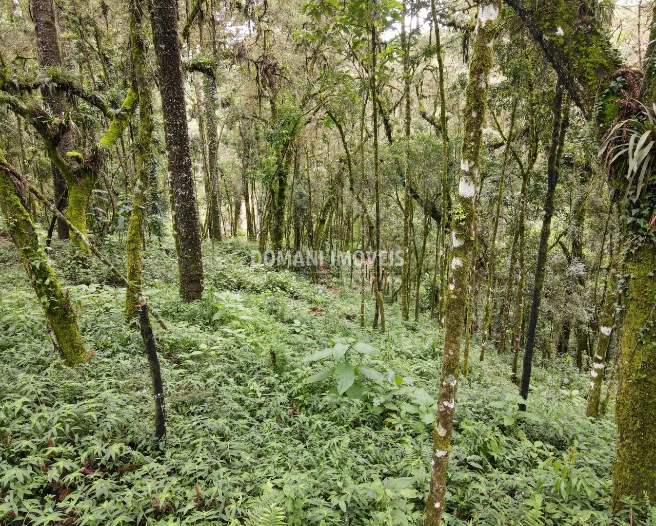 Plot for sale of 3,750 m² in Campos do Jordão, SP, Brazil