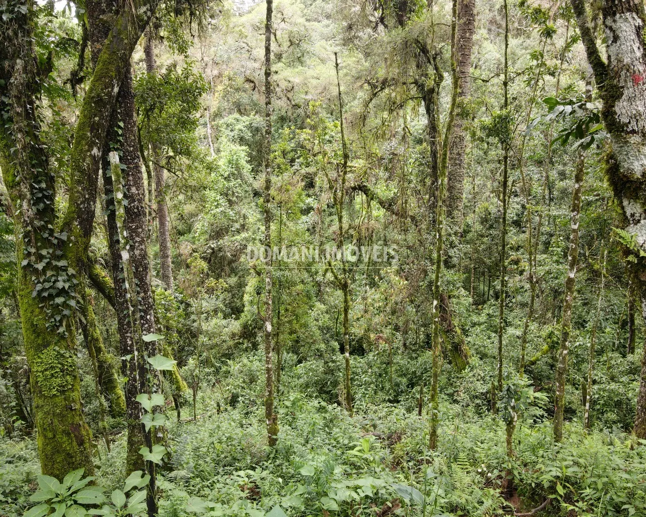 Plot for sale of 3,750 m² in Campos do Jordão, SP, Brazil