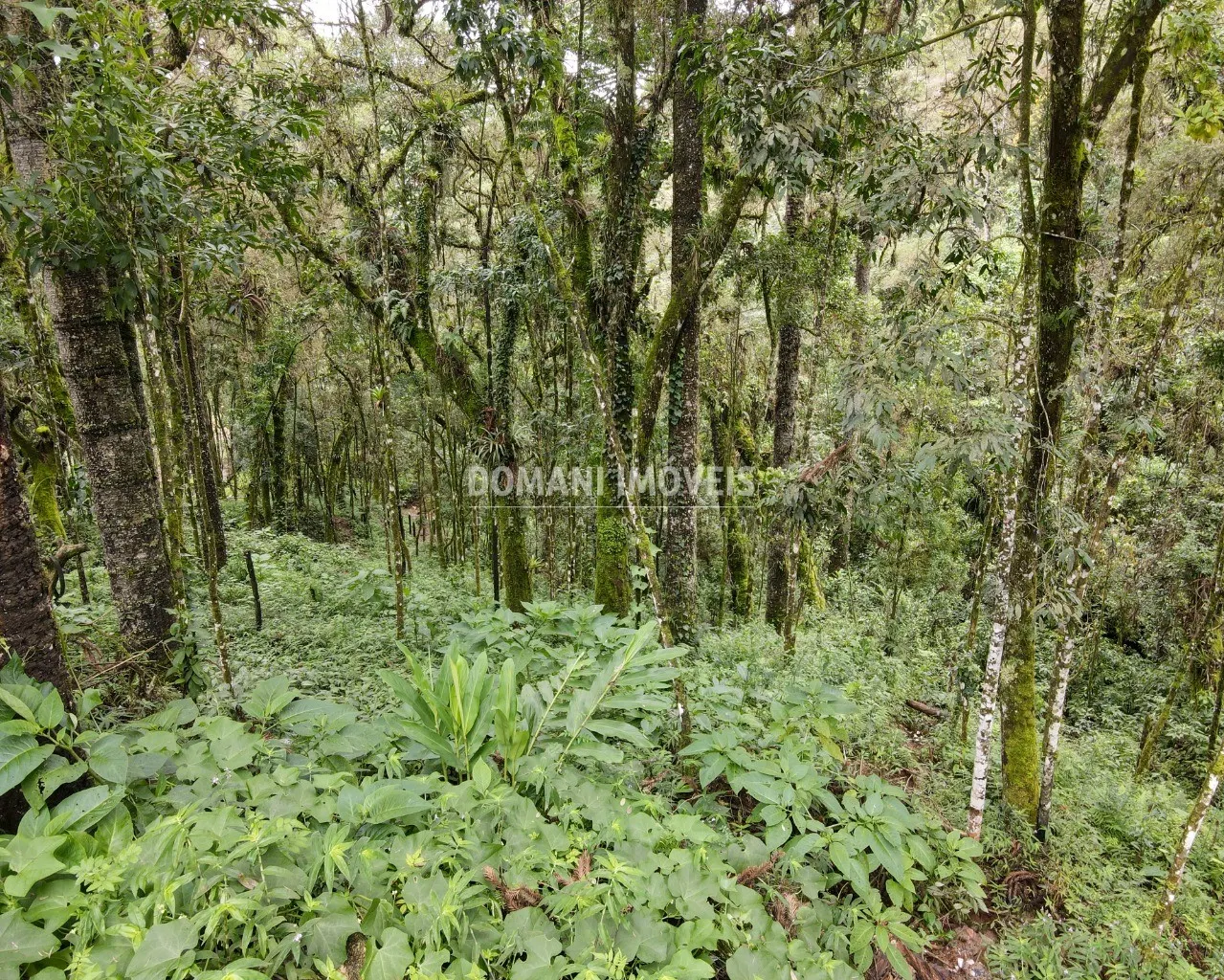 Plot for sale of 3,750 m² in Campos do Jordão, SP, Brazil