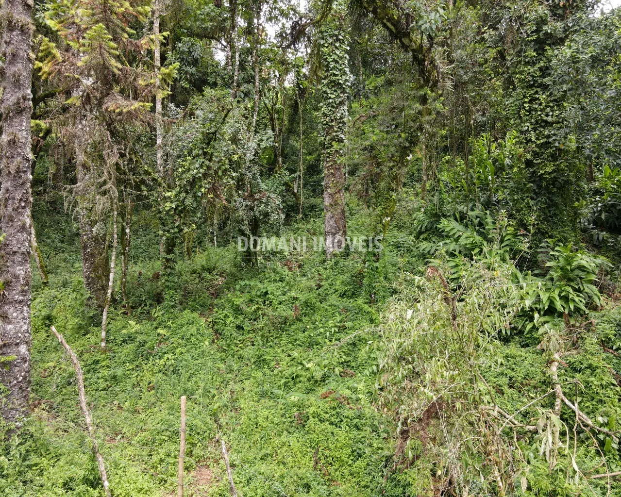 Plot for sale of 3,750 m² in Campos do Jordão, SP, Brazil