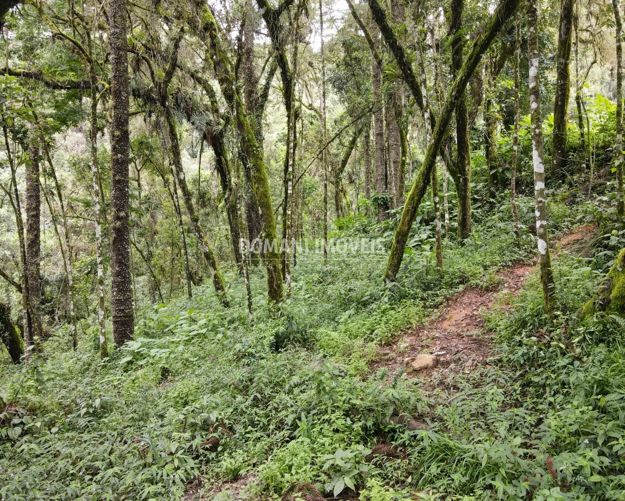 Plot for sale of 3,750 m² in Campos do Jordão, SP, Brazil