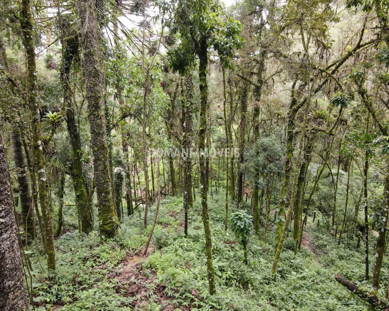 Plot for sale of 3,750 m² in Campos do Jordão, SP, Brazil