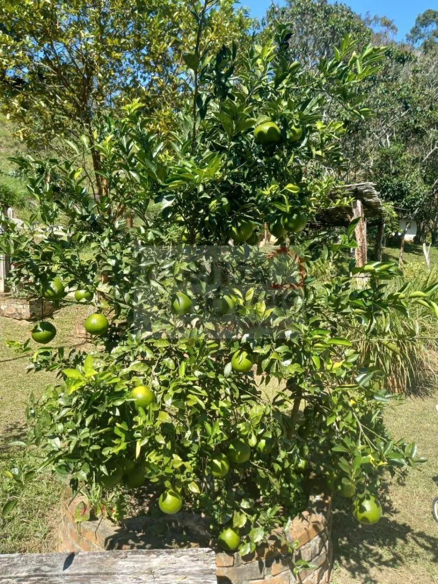 Sítio à venda de 31 ha em Natividade da Serra, SP, Brasil