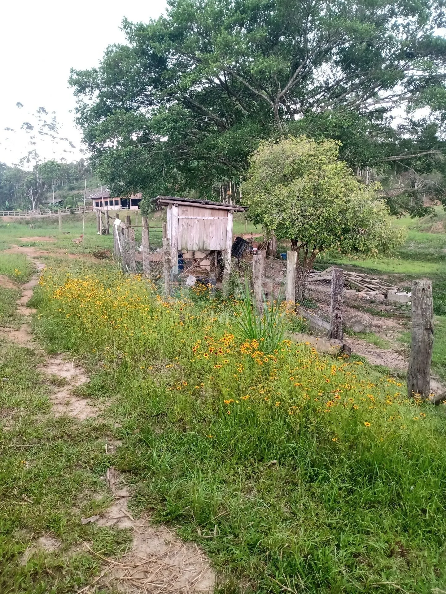 Terreno à venda de 7.796 m² em Gaspar, SC, Brasil