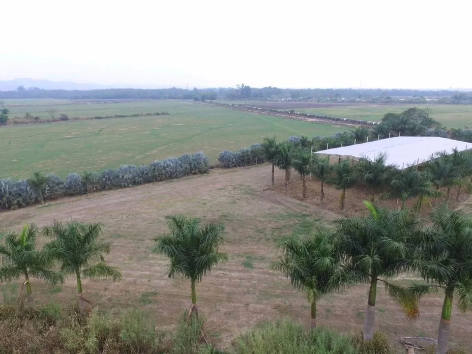 Plot for sale of 5 acres in São José dos Campos, SP, Brazil