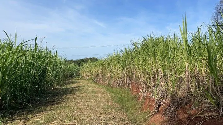 Chácara à venda de 4.800 m² em Santo Antônio da Patrulha, RS, Brasil