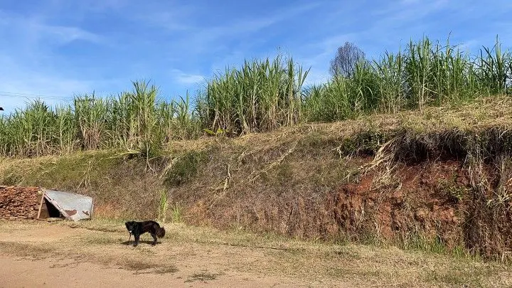 Chácara à venda de 4.800 m² em Santo Antônio da Patrulha, RS, Brasil