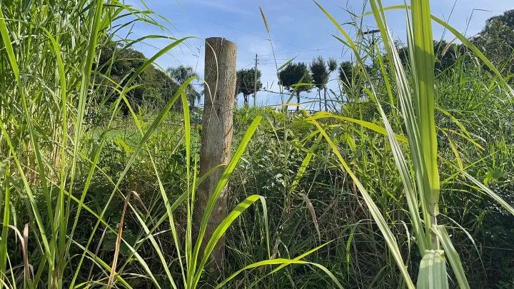 Chácara à venda de 4.800 m² em Santo Antônio da Patrulha, RS, Brasil