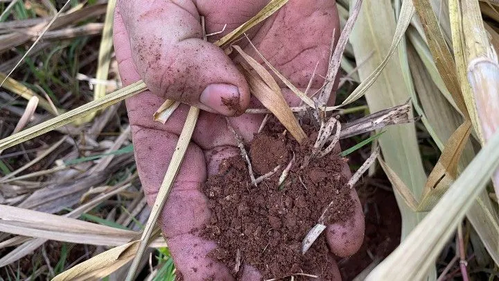 Chácara à venda de 4.800 m² em Santo Antônio da Patrulha, RS, Brasil
