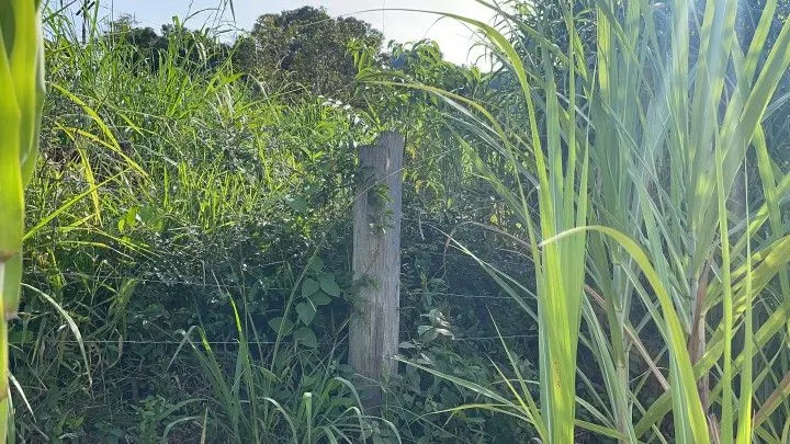 Chácara à venda de 4.800 m² em Santo Antônio da Patrulha, RS, Brasil