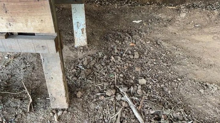 Chácara à venda de 4.800 m² em Santo Antônio da Patrulha, RS, Brasil