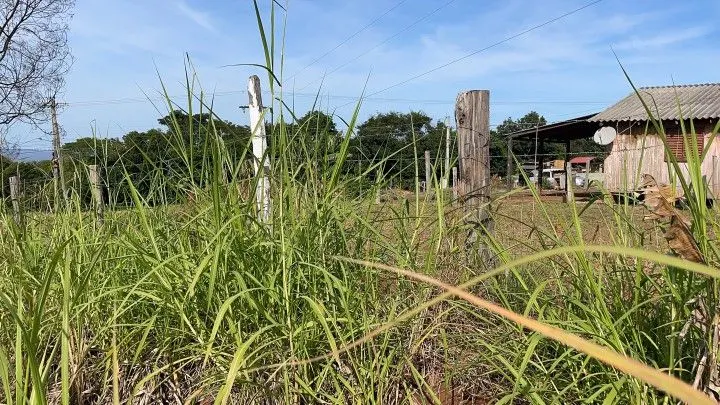Chácara à venda de 4.800 m² em Santo Antônio da Patrulha, RS, Brasil
