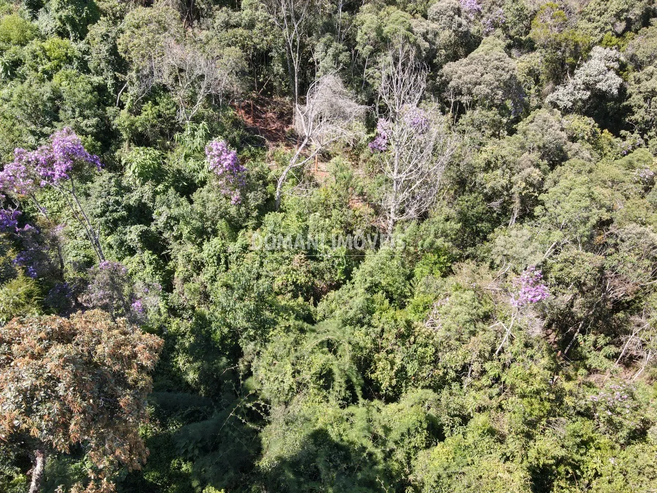 Plot for sale of 1,080 m² in Campos do Jordão, SP, Brazil