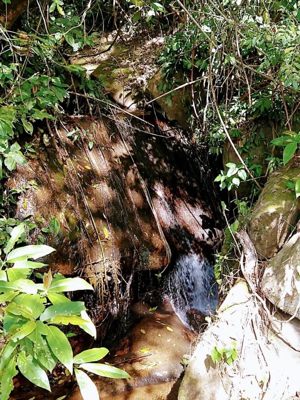 Terreno à venda de 36 ha em Monteiro Lobato, SP, Brasil