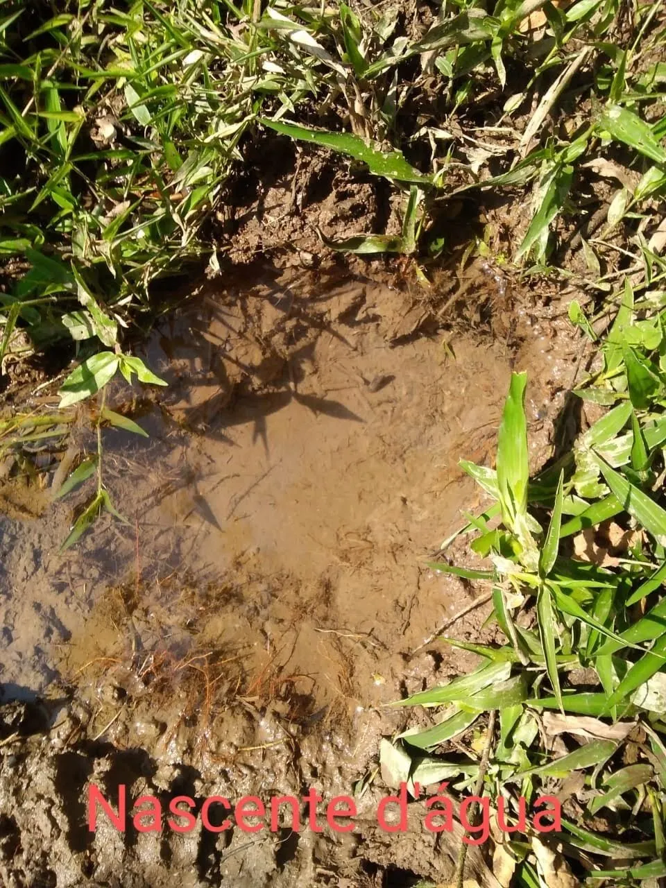 Terreno à venda de 36 ha em Monteiro Lobato, SP, Brasil