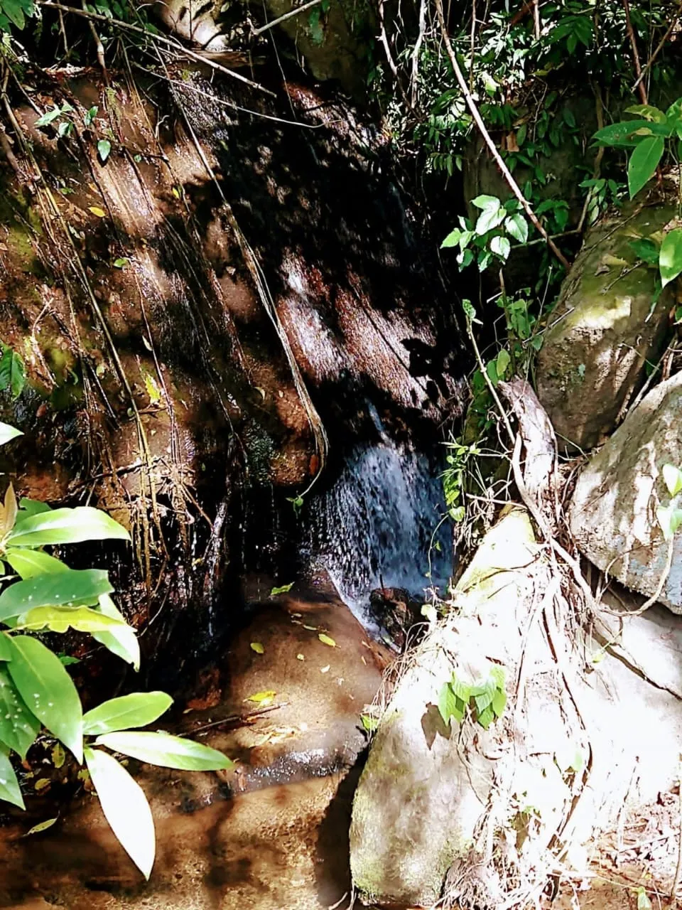 Terreno à venda de 36 ha em Monteiro Lobato, SP, Brasil