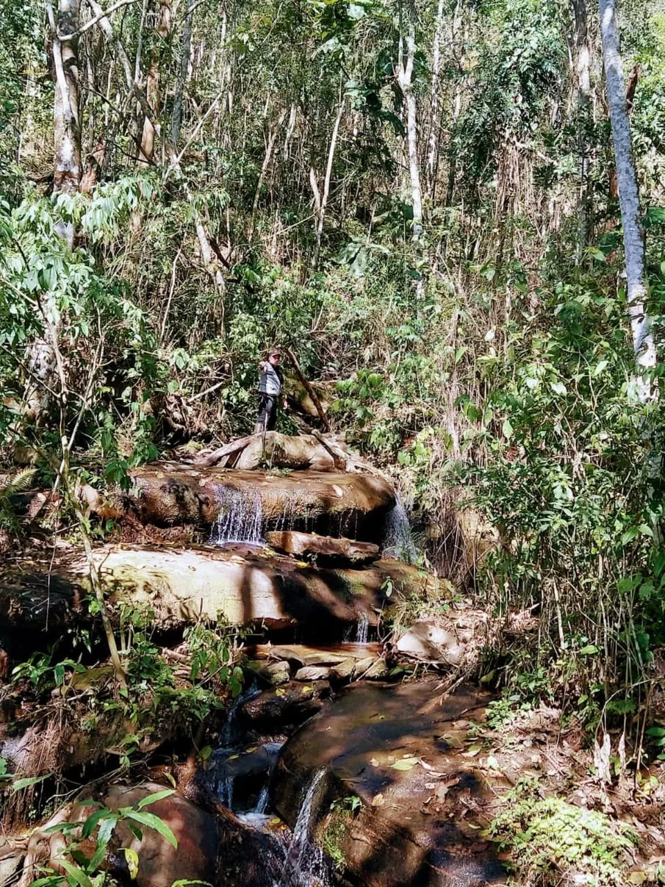 Terreno à venda de 36 ha em Monteiro Lobato, SP, Brasil