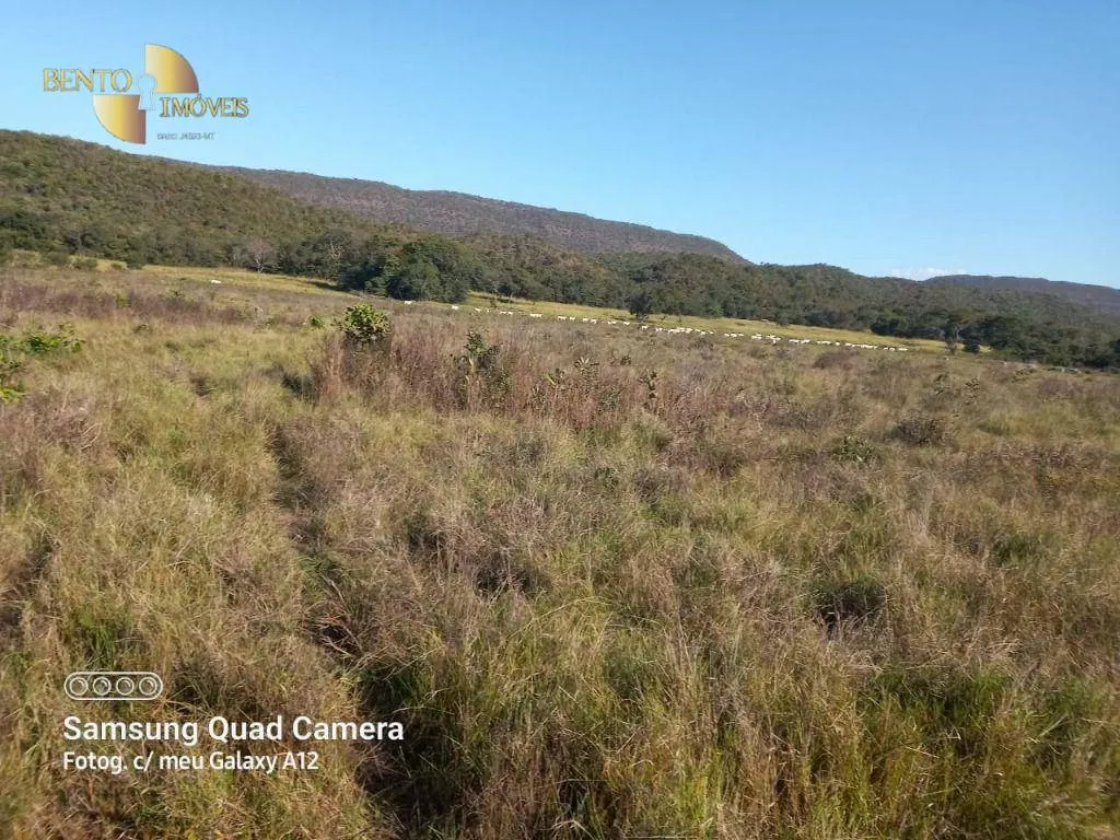 Fazenda à venda de 1.200 ha em Nobres, MT, Brasil
