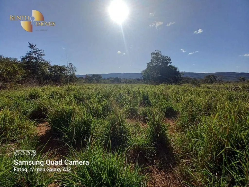 Fazenda à venda de 1.200 ha em Nobres, MT, Brasil