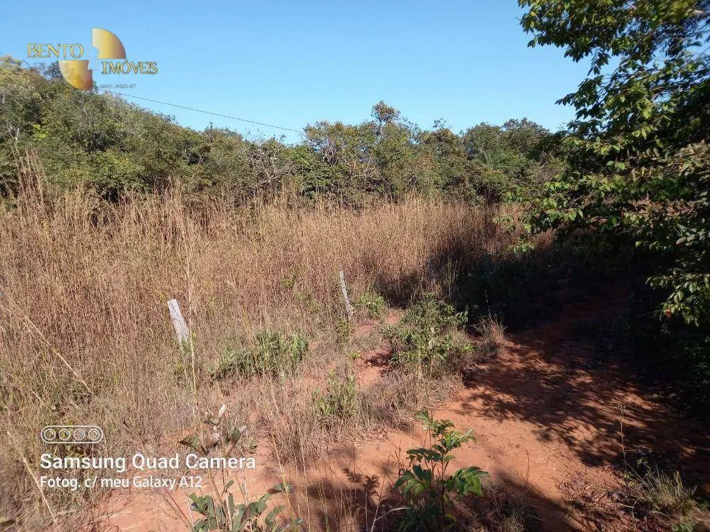 Fazenda à venda de 1.200 ha em Nobres, MT, Brasil