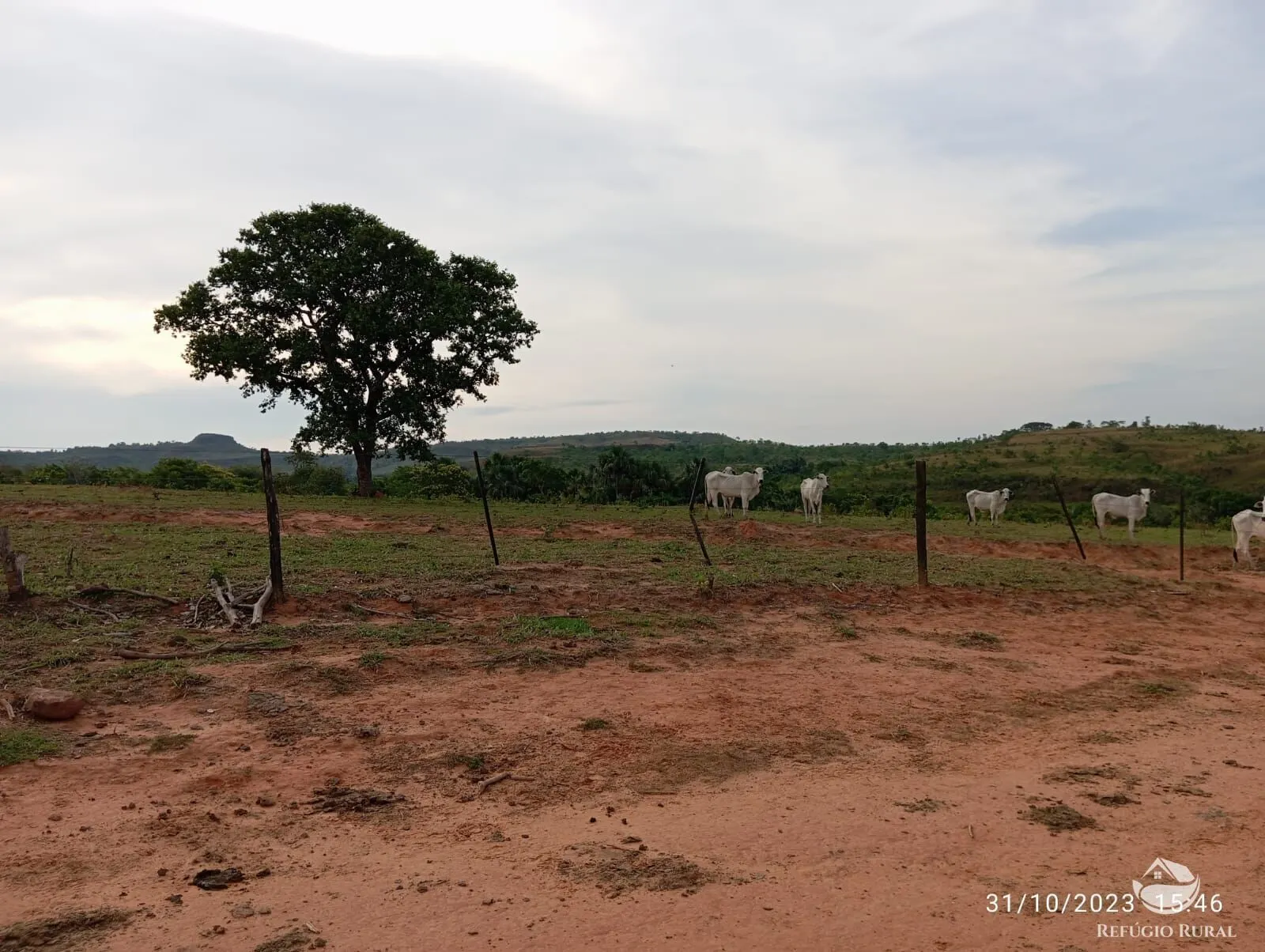 Fazenda à venda de 300 ha em Tesouro, MT, Brasil