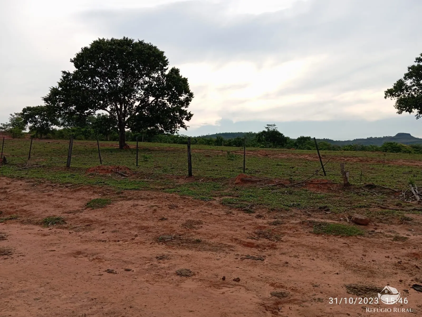 Fazenda à venda de 300 ha em Tesouro, MT, Brasil