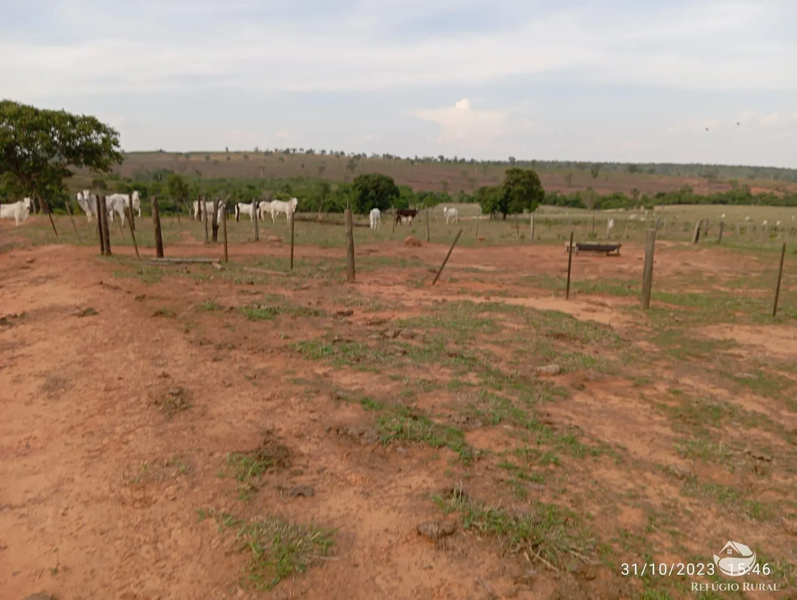 Fazenda à venda de 300 ha em Tesouro, MT, Brasil
