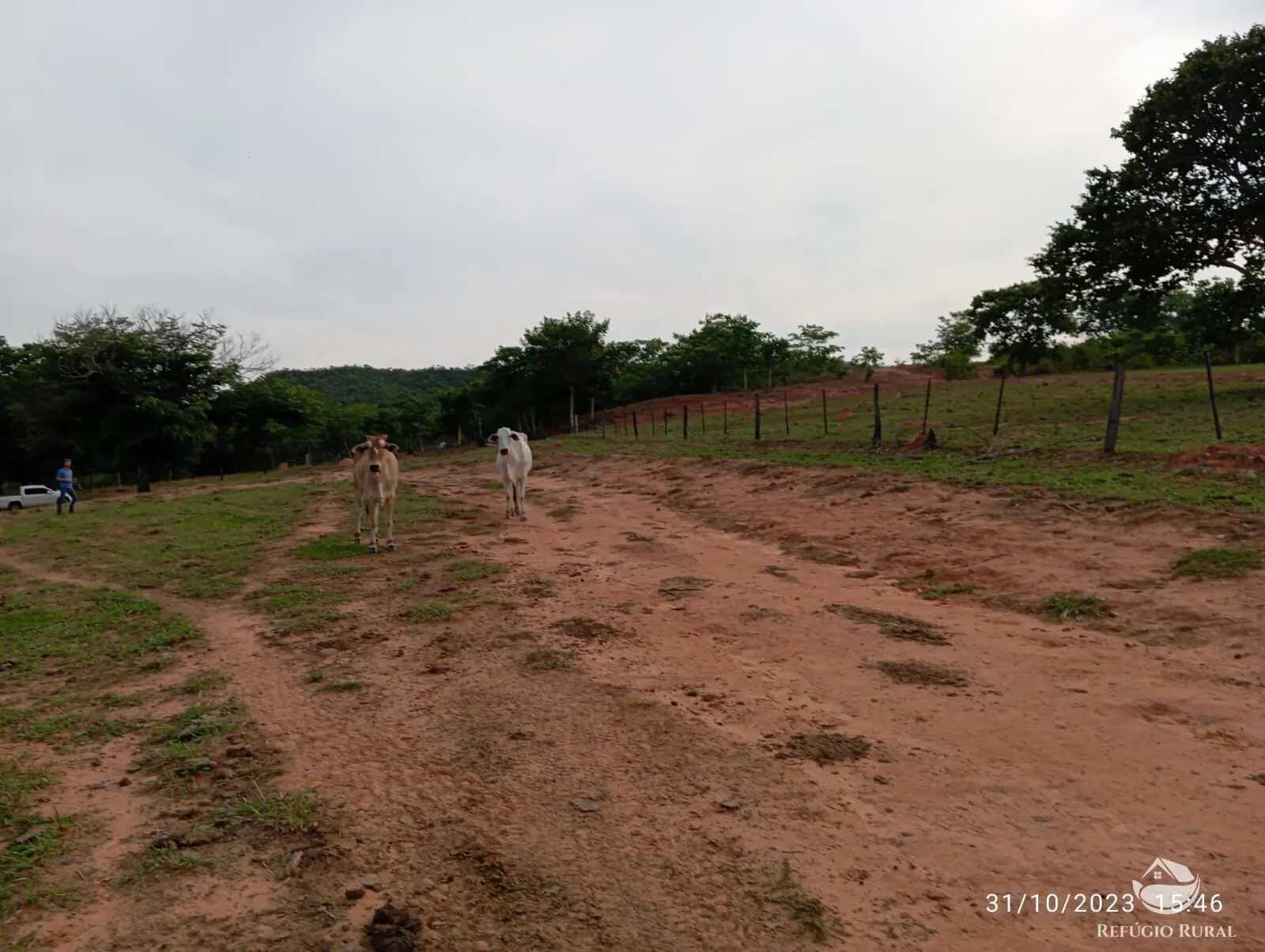 Fazenda à venda de 300 ha em Tesouro, MT, Brasil