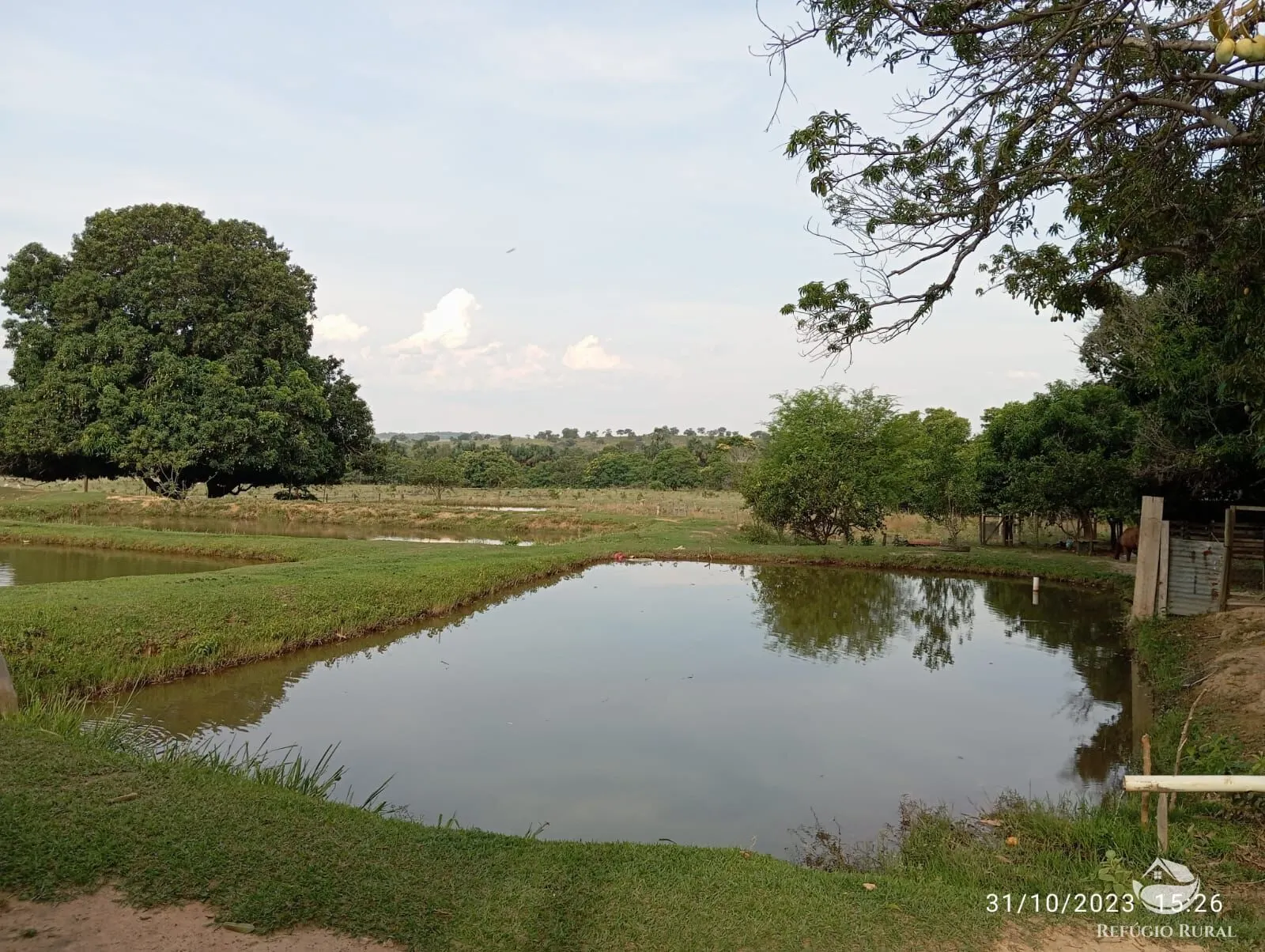 Fazenda à venda de 300 ha em Tesouro, MT, Brasil