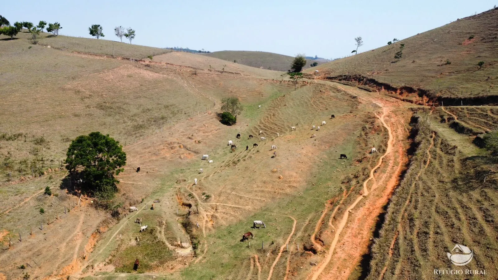 Sítio à venda de 36 ha em Santa Branca, SP, Brasil