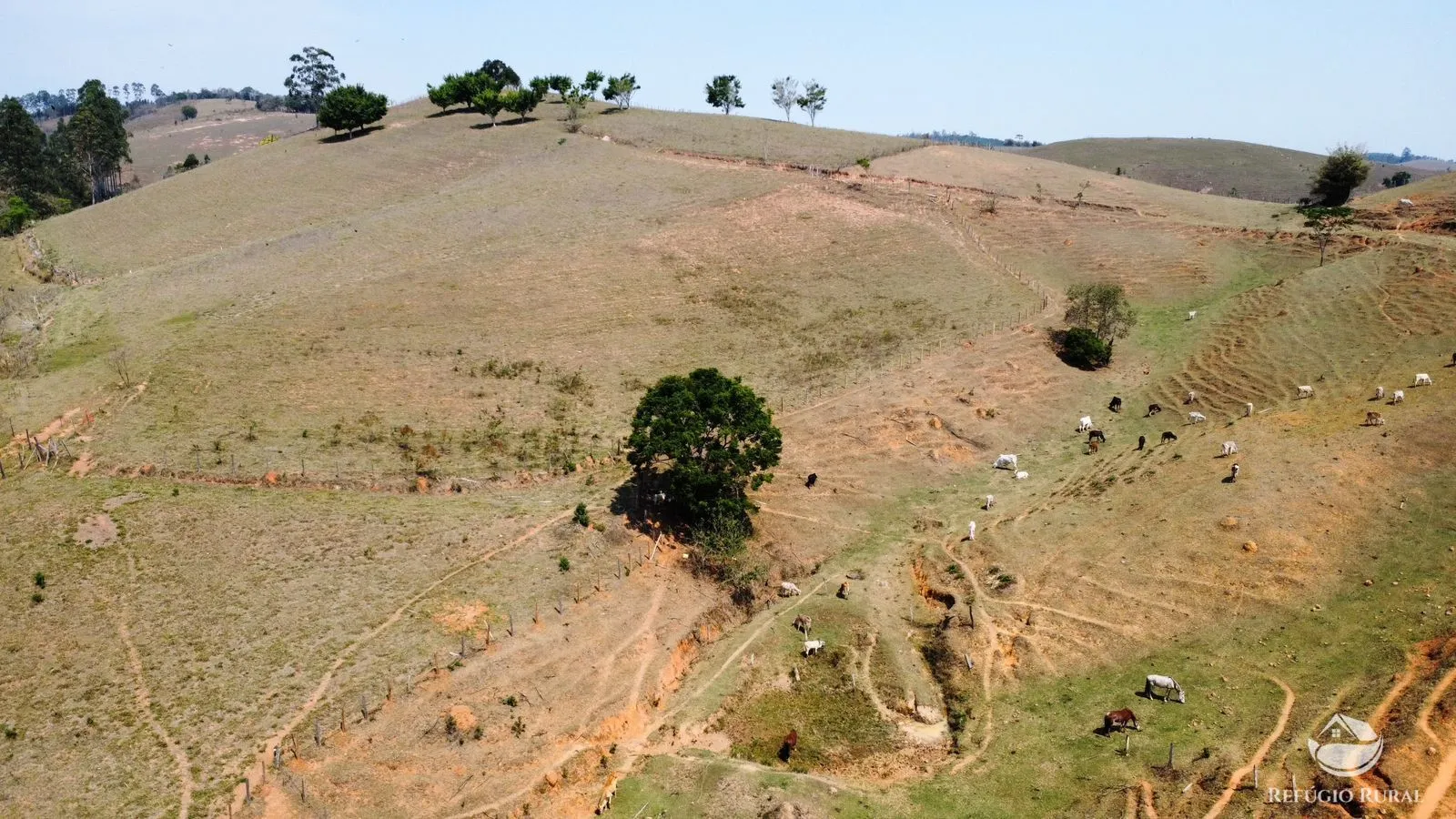 Sítio à venda de 36 ha em Santa Branca, SP, Brasil