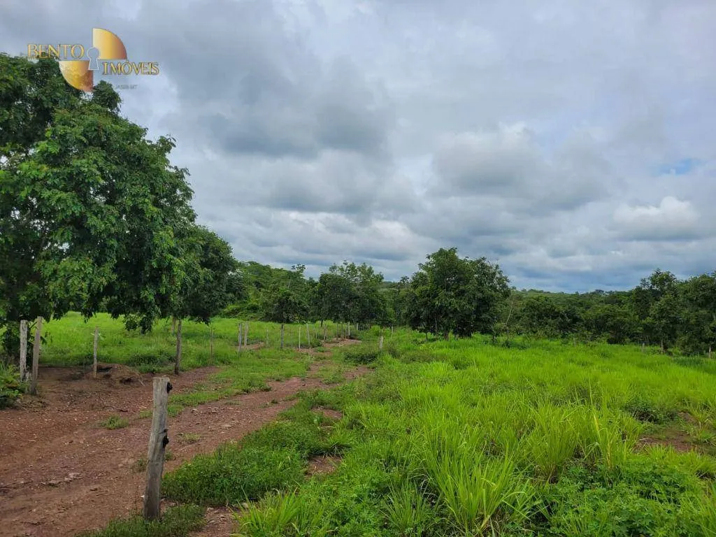 Fazenda à venda de 840 ha em Chapada dos Guimarães, MT, Brasil