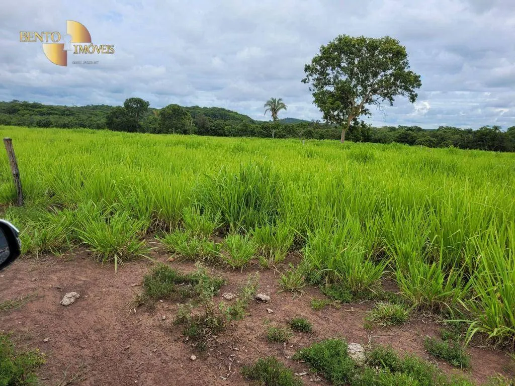 Fazenda à venda de 840 ha em Chapada dos Guimarães, MT, Brasil