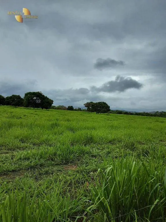 Fazenda à venda de 840 ha em Chapada dos Guimarães, MT, Brasil