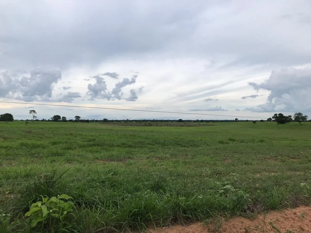 Fazenda à venda de 11.616 ha em Flores de Goiás, GO, Brasil