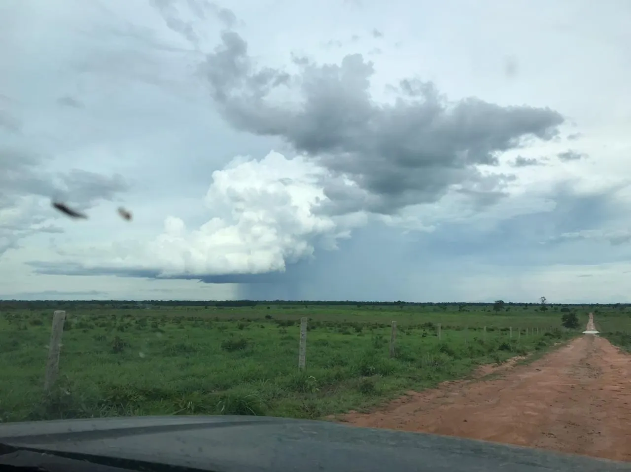 Fazenda à venda de 11.616 ha em Flores de Goiás, GO, Brasil