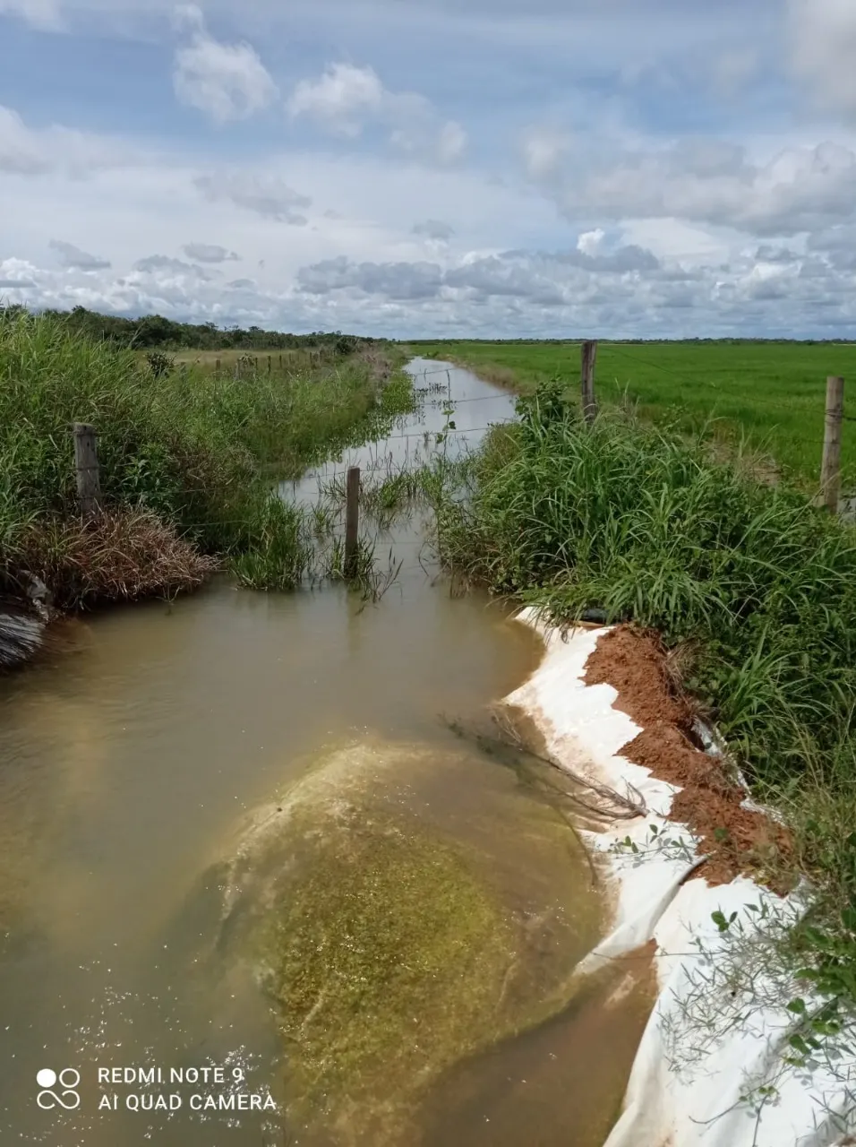 Fazenda à venda de 11.616 ha em Flores de Goiás, GO, Brasil