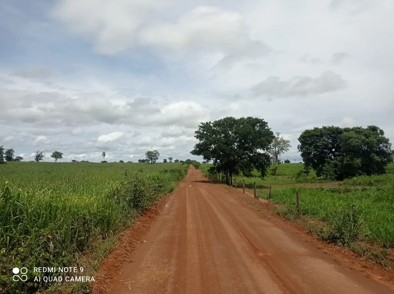 Fazenda à venda de 11.616 ha em Flores de Goiás, GO, Brasil
