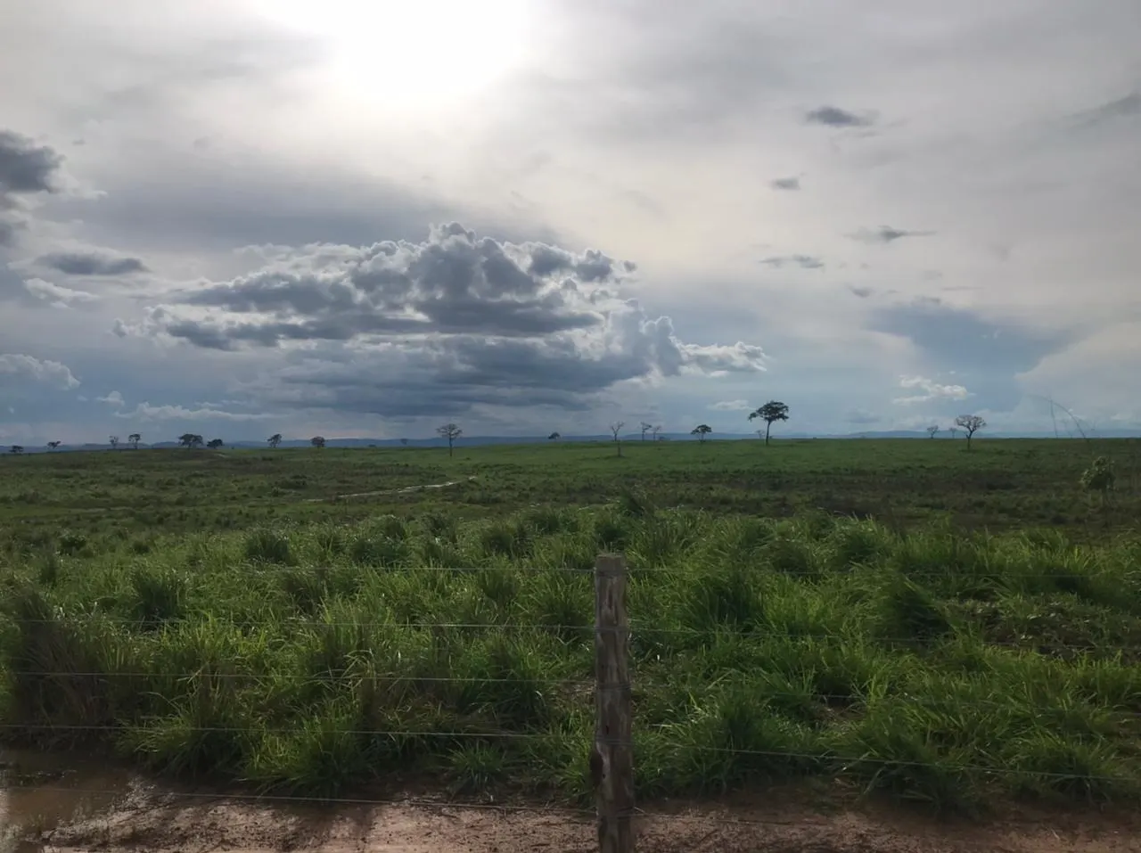 Fazenda à venda de 11.616 ha em Flores de Goiás, GO, Brasil
