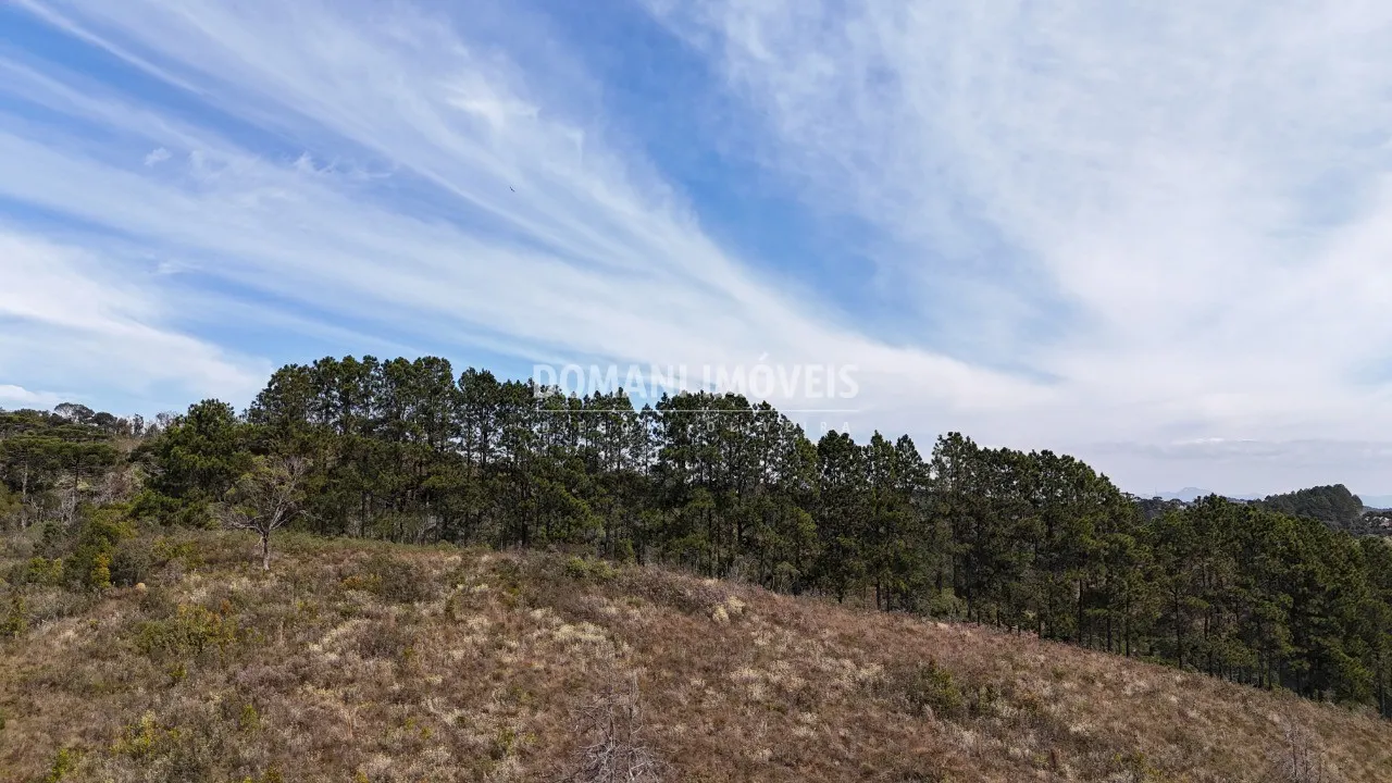 Terreno à venda de 2 ha em Campos do Jordão, SP, Brasil