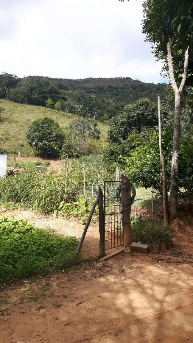 Sítio à venda, para Arrendar e em leilão de 29 ha em Lima Duarte, MG, Brasil